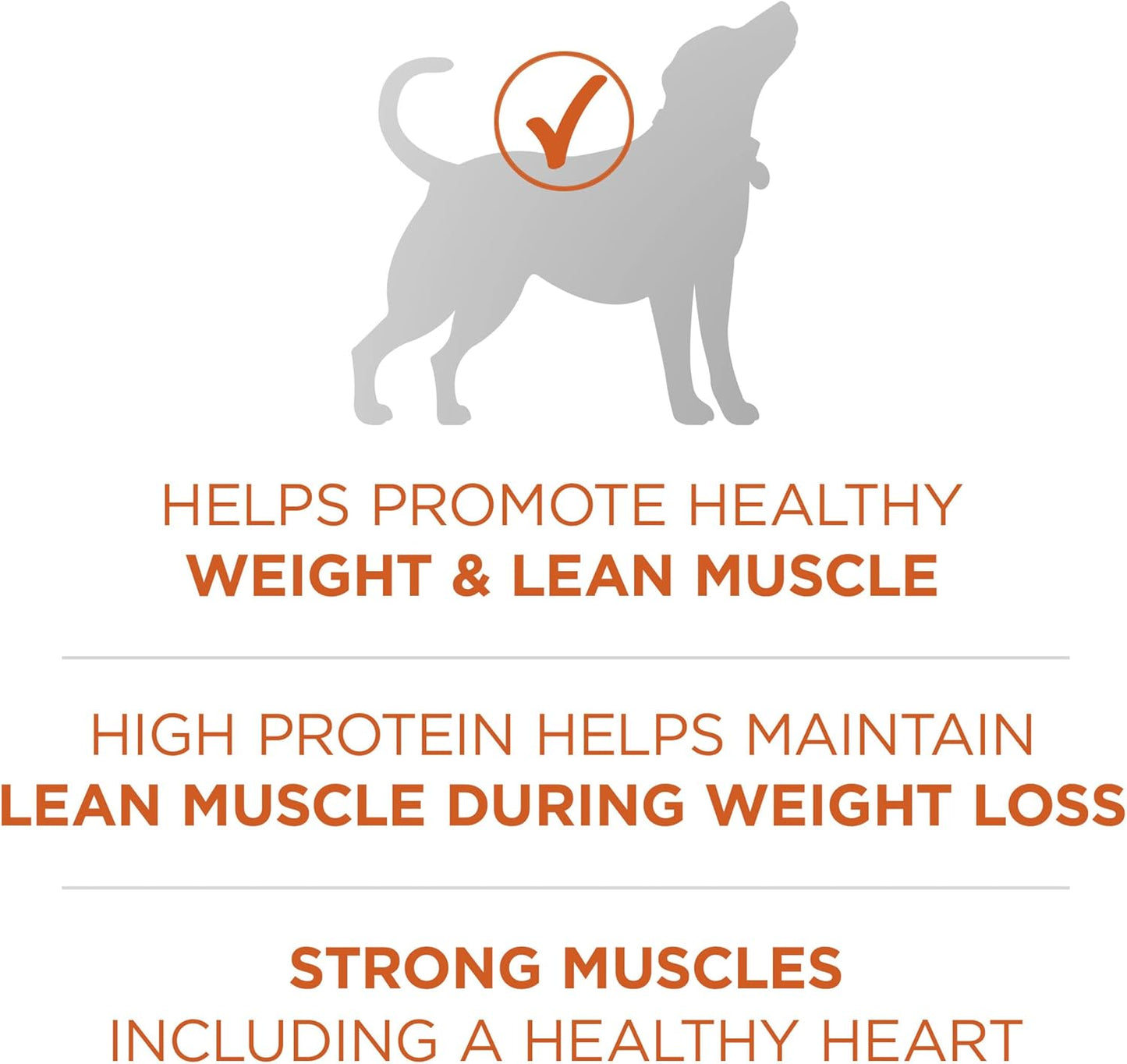 Purina ONE Plus Healthy Weight High-Protein Dog Food Dry Formula - 16.5 lb. Bag