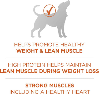 Purina ONE Plus Healthy Weight High-Protein Dog Food Dry Formula - 16.5 lb. Bag