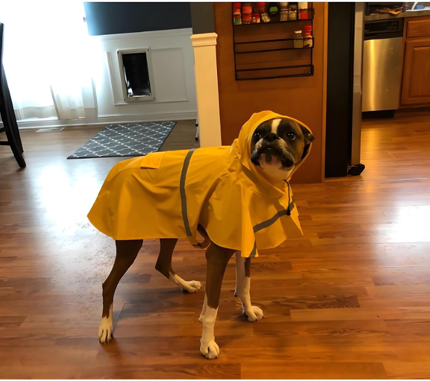 NACOCO Large Dog Raincoat Adjustable Pet Water Proof Clothes Lightweight Rain Jacket Poncho Hoodies with Strip Reflective (XL, Yellow)
