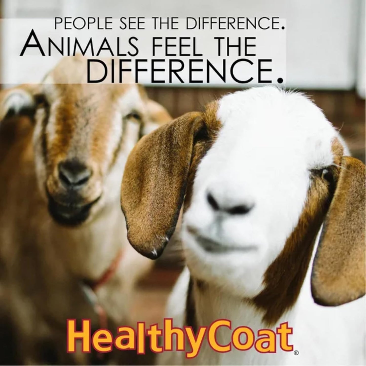 HealthyCoat Goat Formula: Quart. Skin, Coat, Body Condition, Allergies, Immune System, Milk Production.