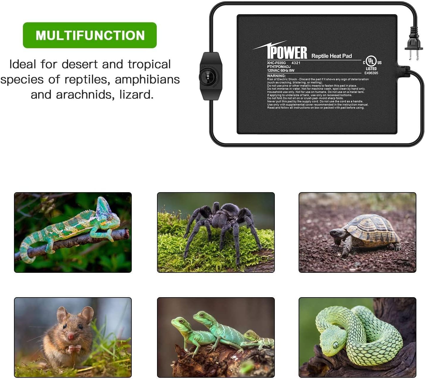 iPower 6 by 8 Inch Reptile Heating Pad with Temperature Adjustable Controller Knob, Under Tank Warmer Terrarium Heat Mat for Reptiles and Amphibians (Pack of 2)