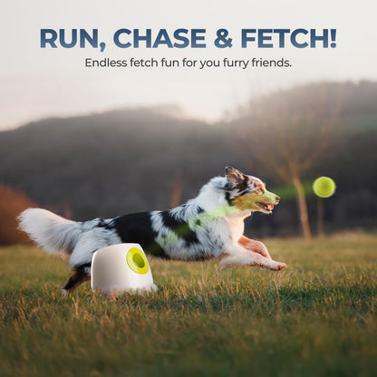 ALL FOR PAWS Automatic Ball Launcher for Dogs Interactive Puppy Pet Ball Outdoor Thrower Fetch Machine, 6 Balls Included (2.5 inch) for Medium to Large Dogs, Rechargeable Battery