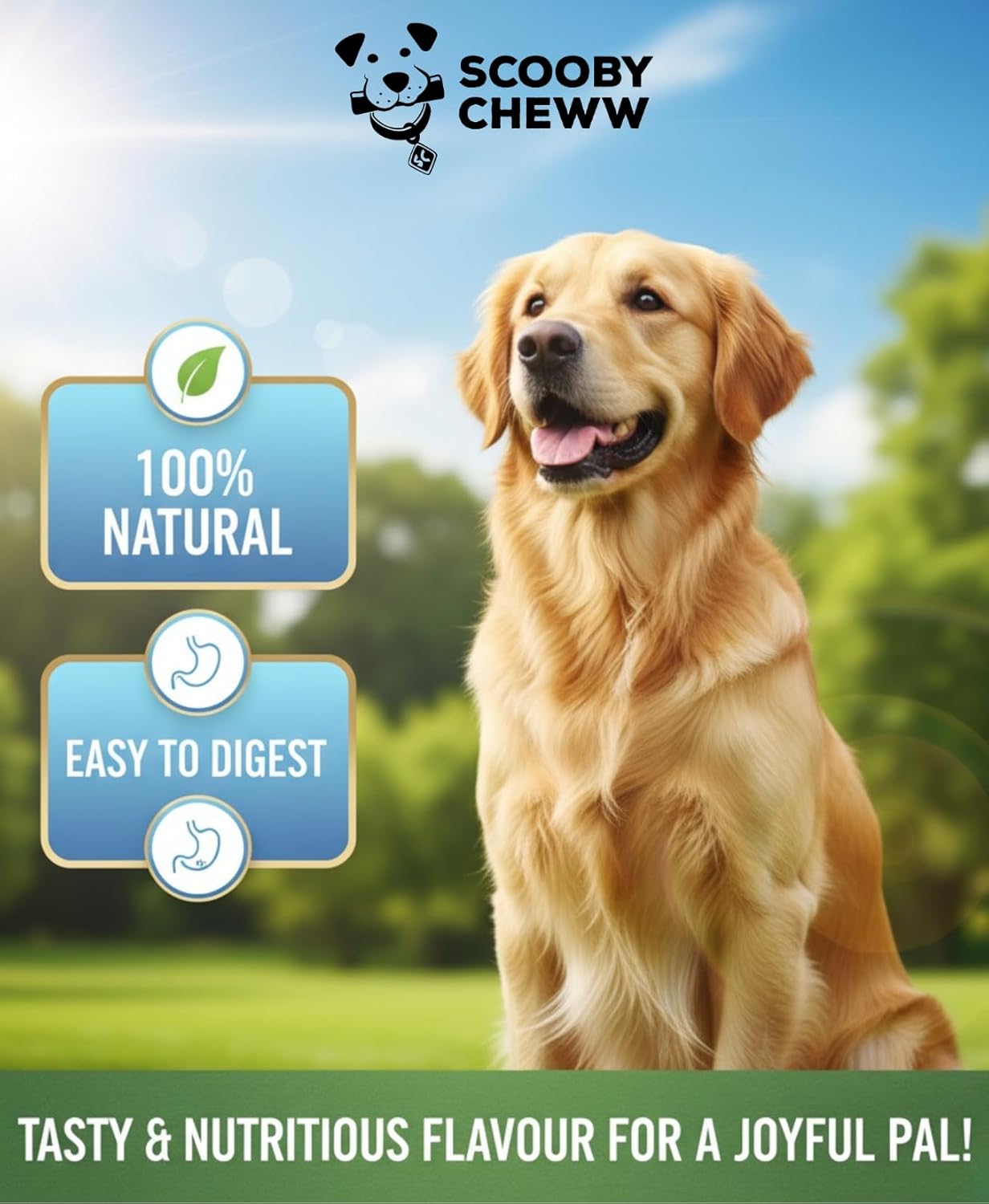 100% Natural Pet Treats 12 Pack Grass Fed Water Buffalo Ears for Dog Unbleached High Protein Beef Cow Ears for Dogs Safe Rawhide Dog Treat Suitable for Small, Medium & Large Breeds Dogs Chews