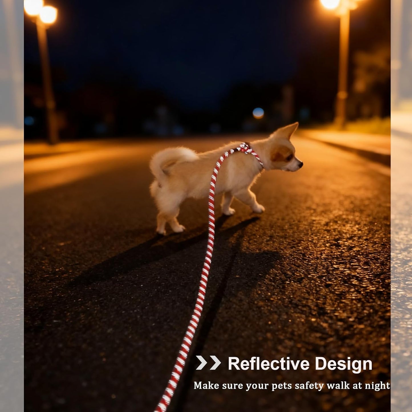 WYuZe 8 FT Slip Lead Leash for Dogs Training Leash (Black+Blue+Red)