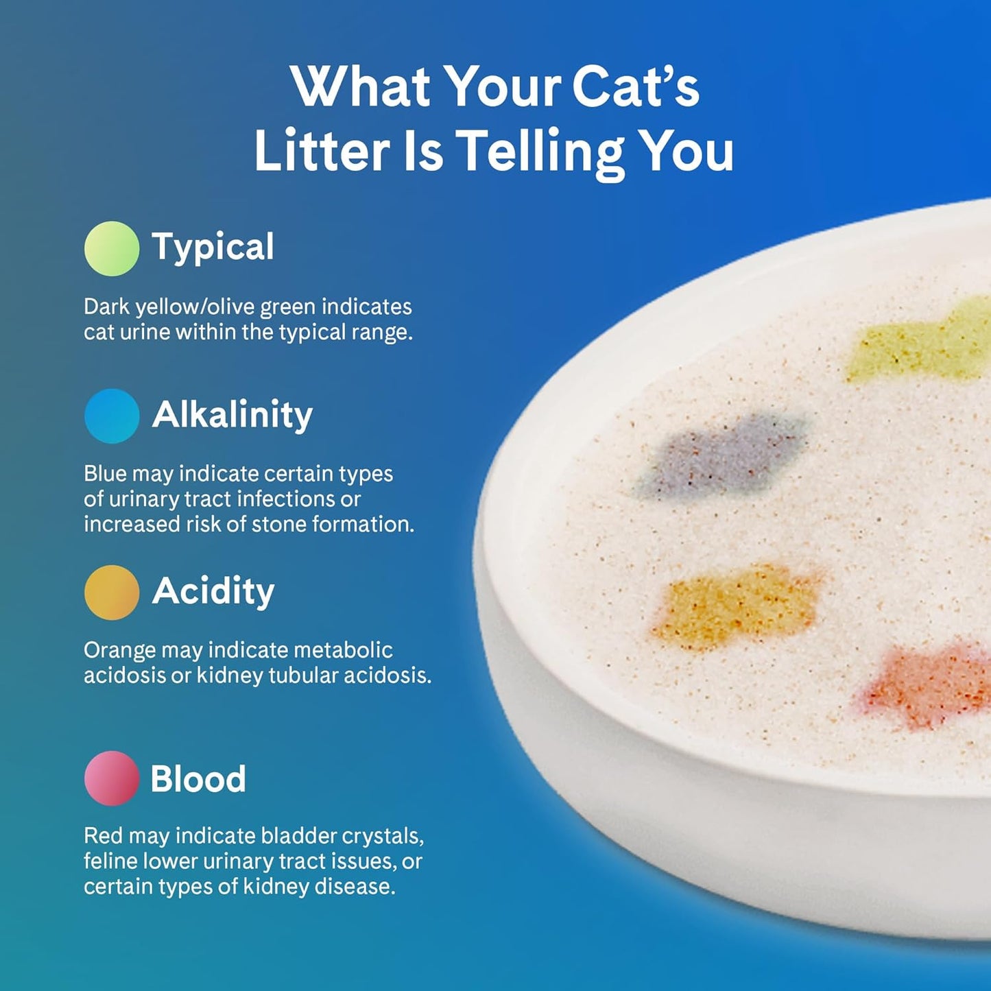 PrettyLitter Health Monitoring Cat Litter (Unscented, Non Clumping) | Lightweight & Low Tracking, Color Changing Silica Gel Crystals, Advanced Odor Control — 6 Lbs, Pack of 1 (One Month Supply)