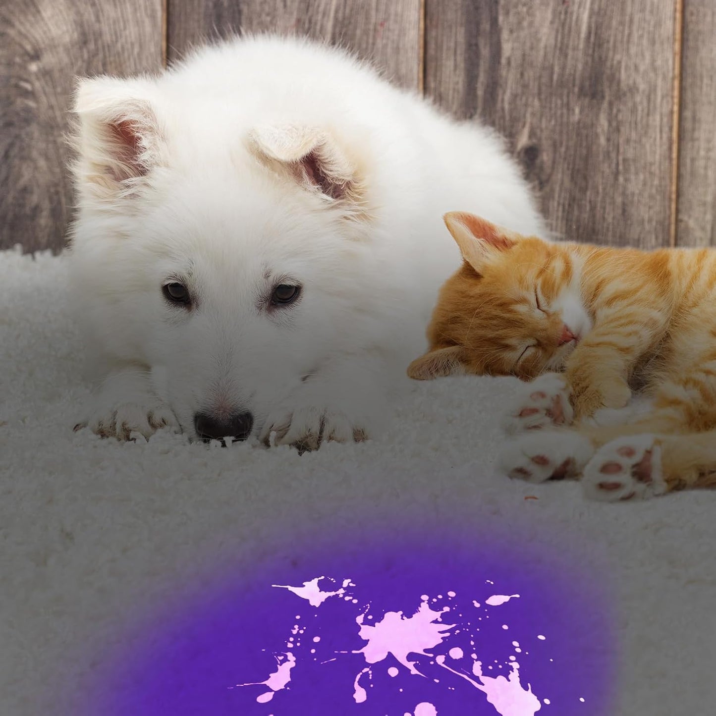 COSOOS Black Light UV Flashlight, 21 LED Handheld UV Light, 395nm Mini Blacklight Flashlight, Portable Pet Urine Detector for Dog Cat Urine Stains, Bed Bugs, Scorpion, Resin Curing, Nails