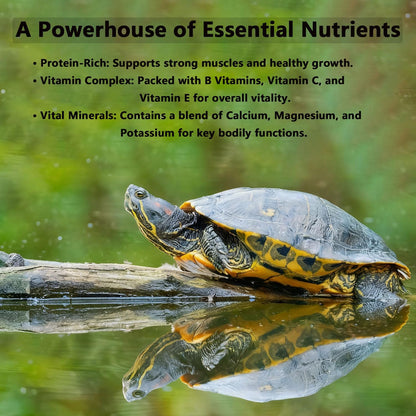 Pleasantly War Bee Pollen for Bearded Dragons and Amphibians, Natural Granules, Premium Grade, Digestive and Immune Support,8oz