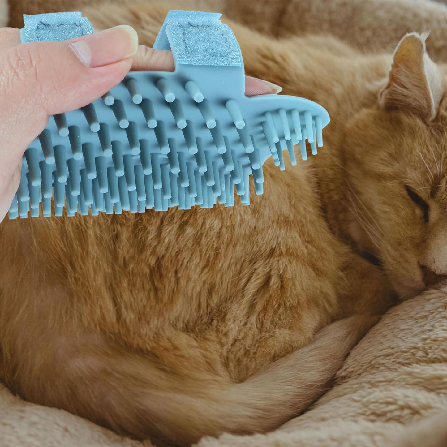 Silicone Cat Massage Comb and Grooming Brush Wall Corner Mounted Soft Pet Massage Tool for Cats Light Green Small Wet and Dry Use Hair Removal