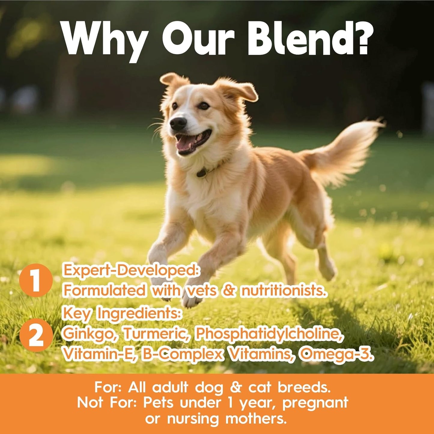 Pet Ginkgo Biloba Extract -Heart & Vascular Supplements for Senior & Overweight Dogs & Cats: Cardiovascular Health, Healthy Blood Pressure & Cholesterol Levels, Brain, Memory, Cognition