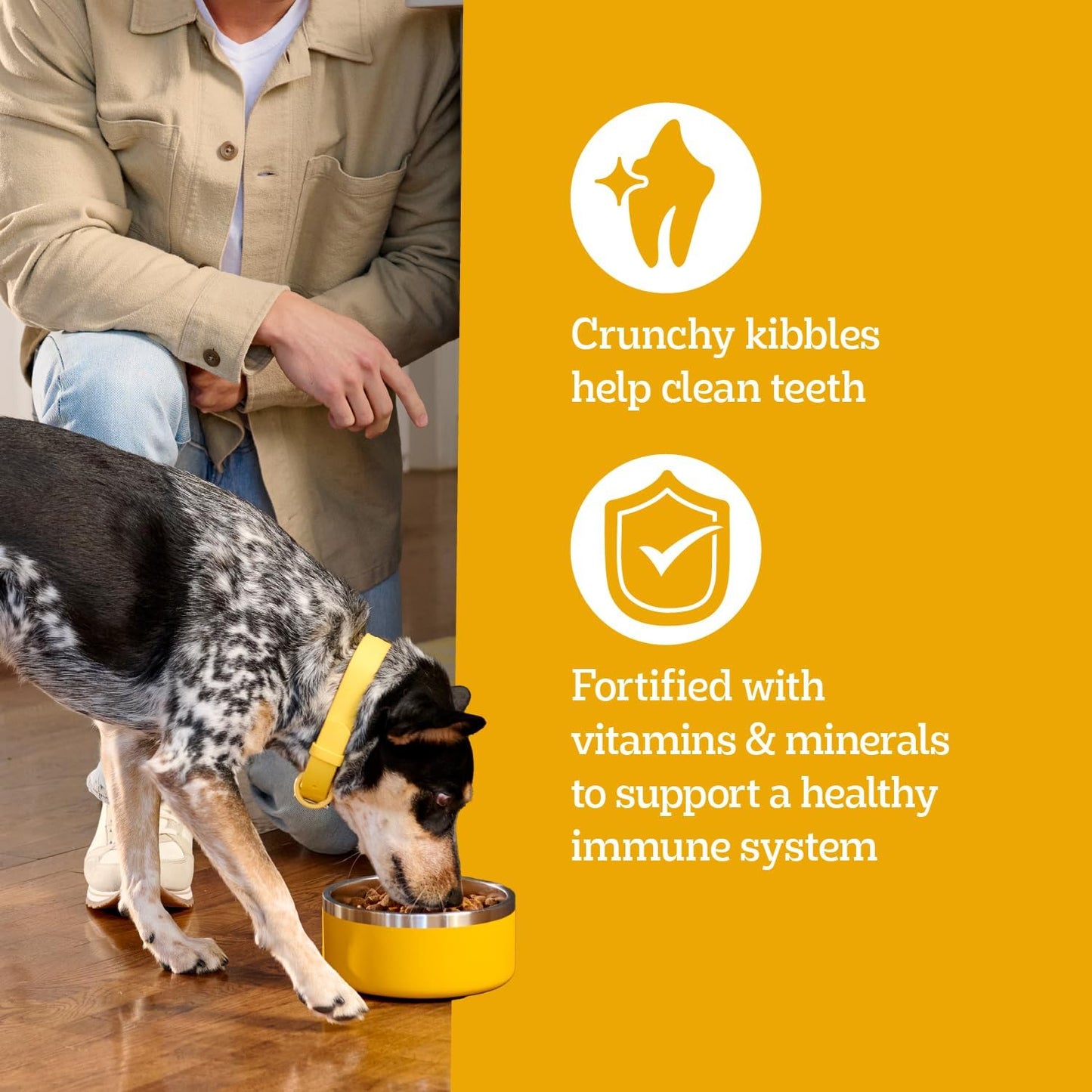 Pedigree Complete Nutrition Adult Dry Dog Food, Roasted Chicken & Vegetable Flavor, 18 lb. Bag