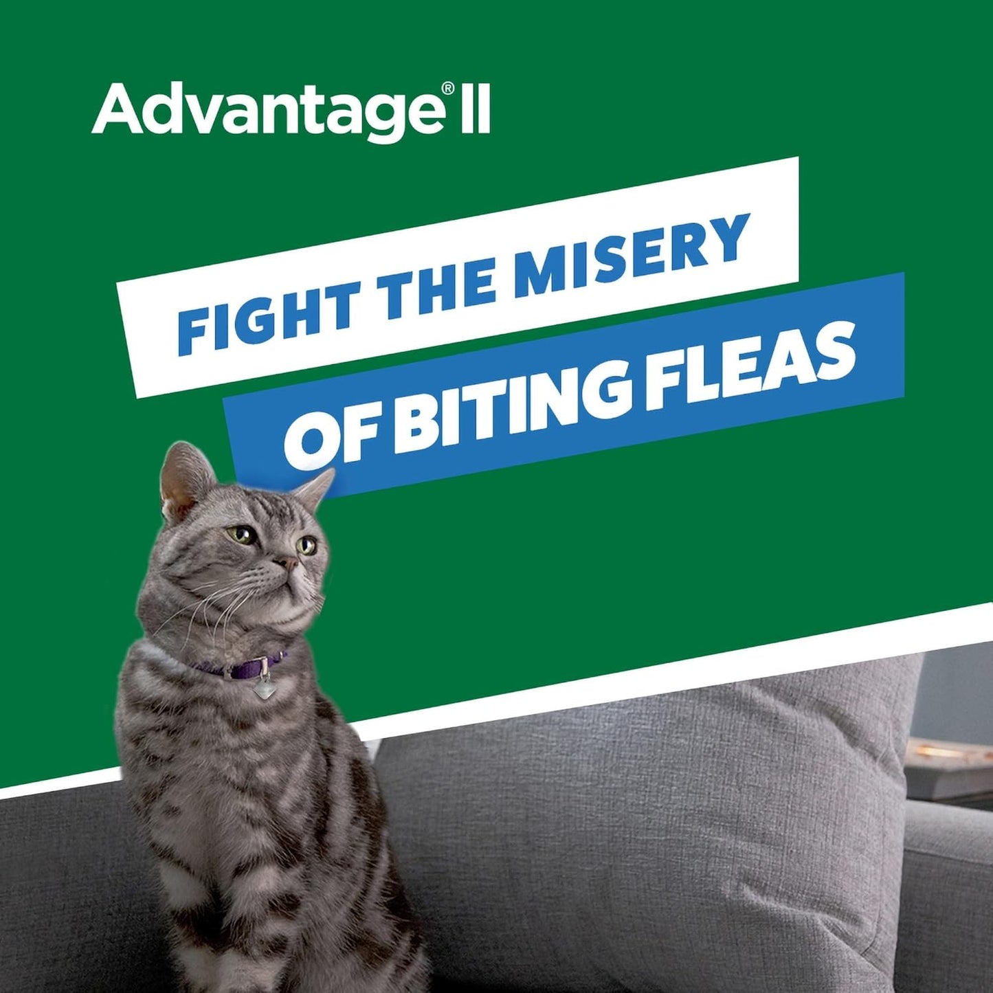 Advantage II Once-A-Month Topical Kills Flea for Kitten, Count of 2.041 LB