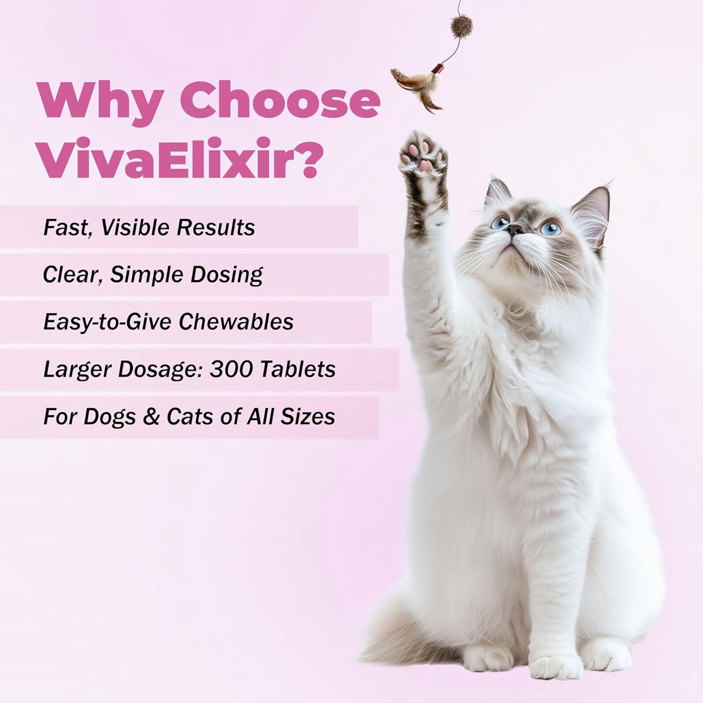 Probiotics for Dogs - Diarrhea Relief for Dogs and Cats - Supports Relief of Diarrhea and Loose Stools - Supports Digestive Balance and Gut Health - with Kaolin Clay and Probiotics - 300 Tablets