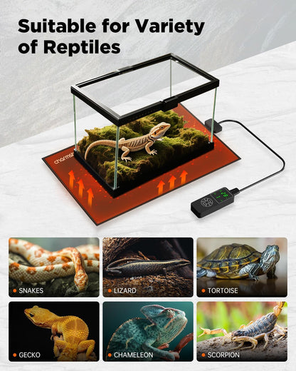 6 by 8-inch 7W Reptile Heating Pad Graphene with Temperature Control Reptile Tank Heat Pad Terrarium Under Tank Heater Mat for Snake Lizard Hermit Crab Reptiles Turtle Thermostat