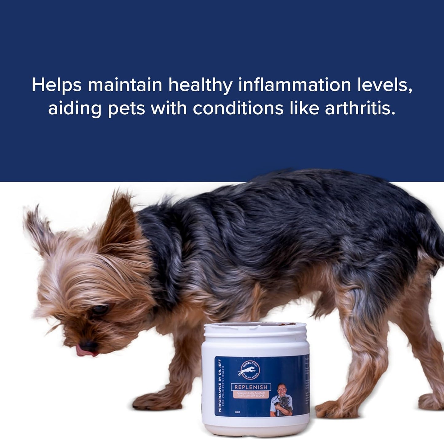 Dr. Jeff Werber Replenish Omega 3 Fatty Acid Chew for Pets & Dogs - Soft Fish Oil Chews with Natural Ingredients for Boosting Immune System and Regulating Inflammatory Response - 60 ct. (Small/Medium)