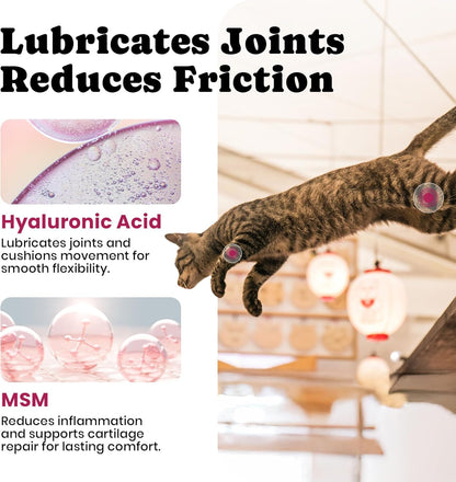 Cat Hairball Remedy with Natural Oils & Fiber for Digestive Support & Cat Joint Supplement with Glucosamine for Mobility & Flexibility Support – 450 Chews