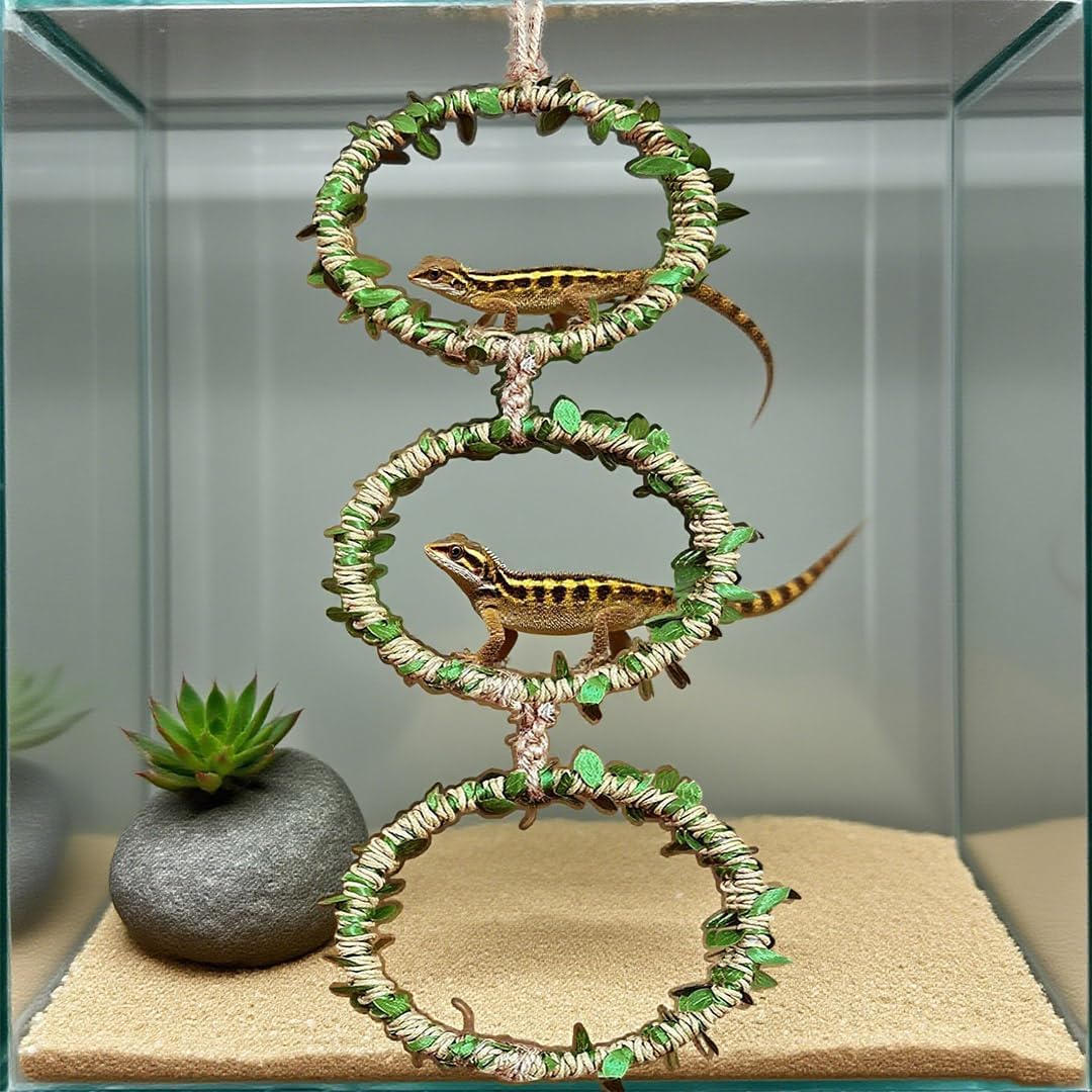 1 Pack Snake Climbing Rings for Ball Python Snake Enrichment Rings Ball Python Tank Accessories Chameleon Cage Accessories for Lizard Bearded Dragon Terrarium Gecko Reptiles