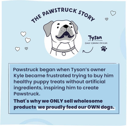 Pawstruck Natural 9" Braided Bully Sticks for Dogs - Long Lasting Rawhide Free Low Odor Single Ingredient Chew Treat for Aggressive Chewers - 1lb Bag