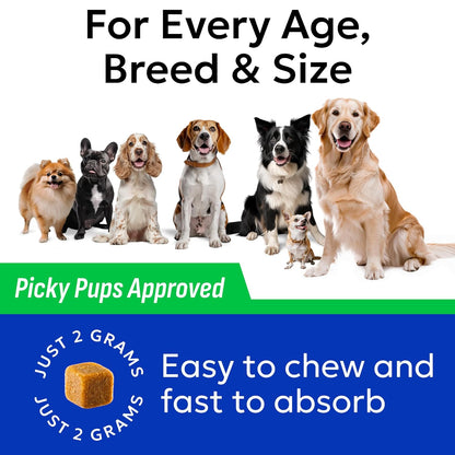 BARK&SPARK Green Grass Chews - Pee Grass Spot Saver Caused by Dog Urine - Urine Neutralizer for Lawn, Gut Health Probiotics & Digestive Enzymes,Lawn Burn from Dog Urine, Grass Burn Spot Chews (240Ct)