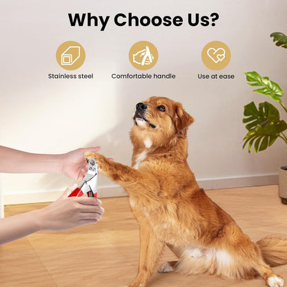 PETTOM Slow Feeder Cat Bowl Ceramic Raised，Dog Cat Nail Clipper Stainless Steel