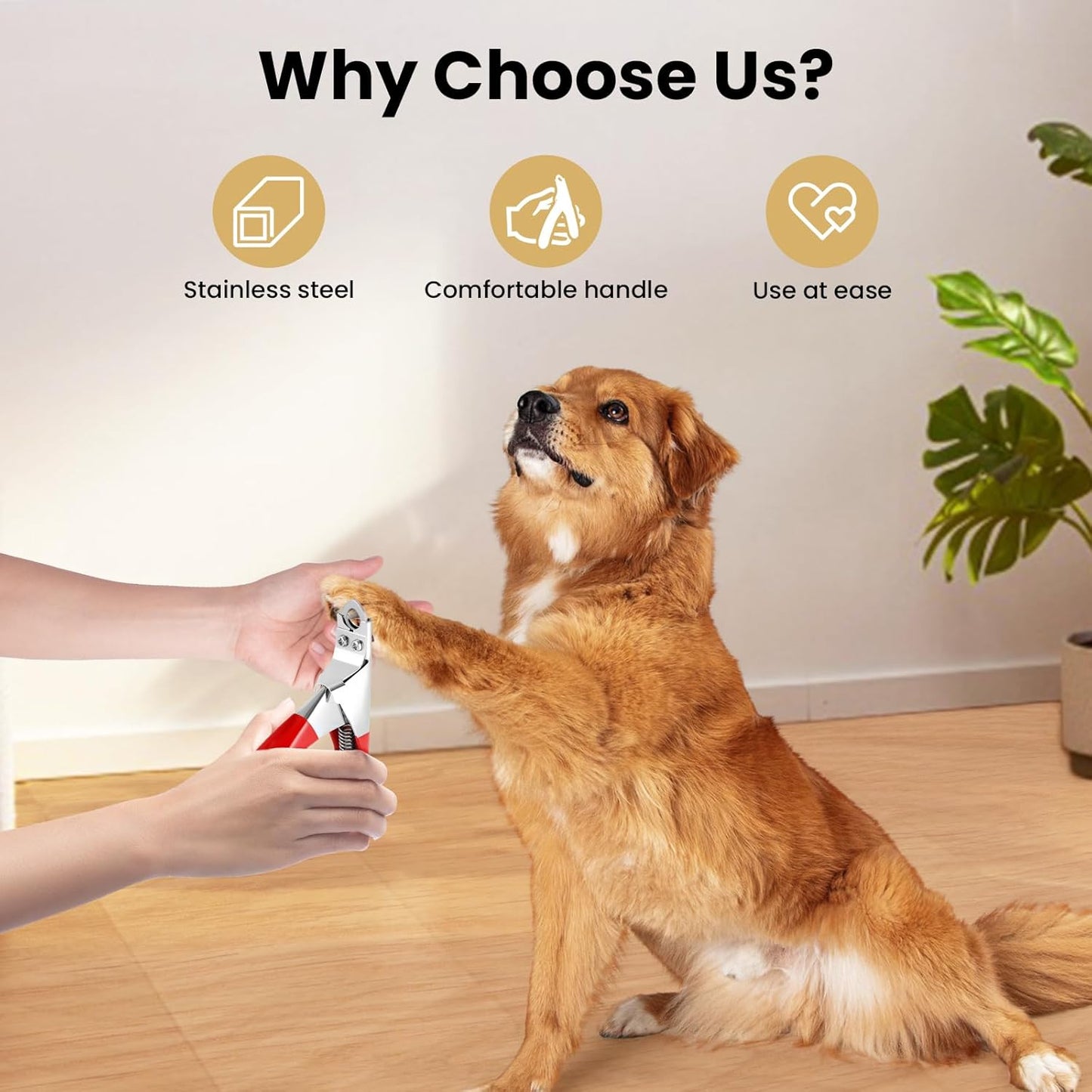 PETTOM Slow Feeder Cat Bowl Ceramic Raised，Dog Cat Nail Clipper Stainless Steel