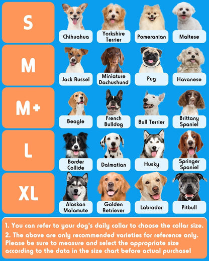 Inflatable Dog Pillow Cone Collar After Surgery, Donut Soft Neck Cone for Pug Dachshund Medium Dogs, etc, Recovery E Collar to Stop Licking Paw