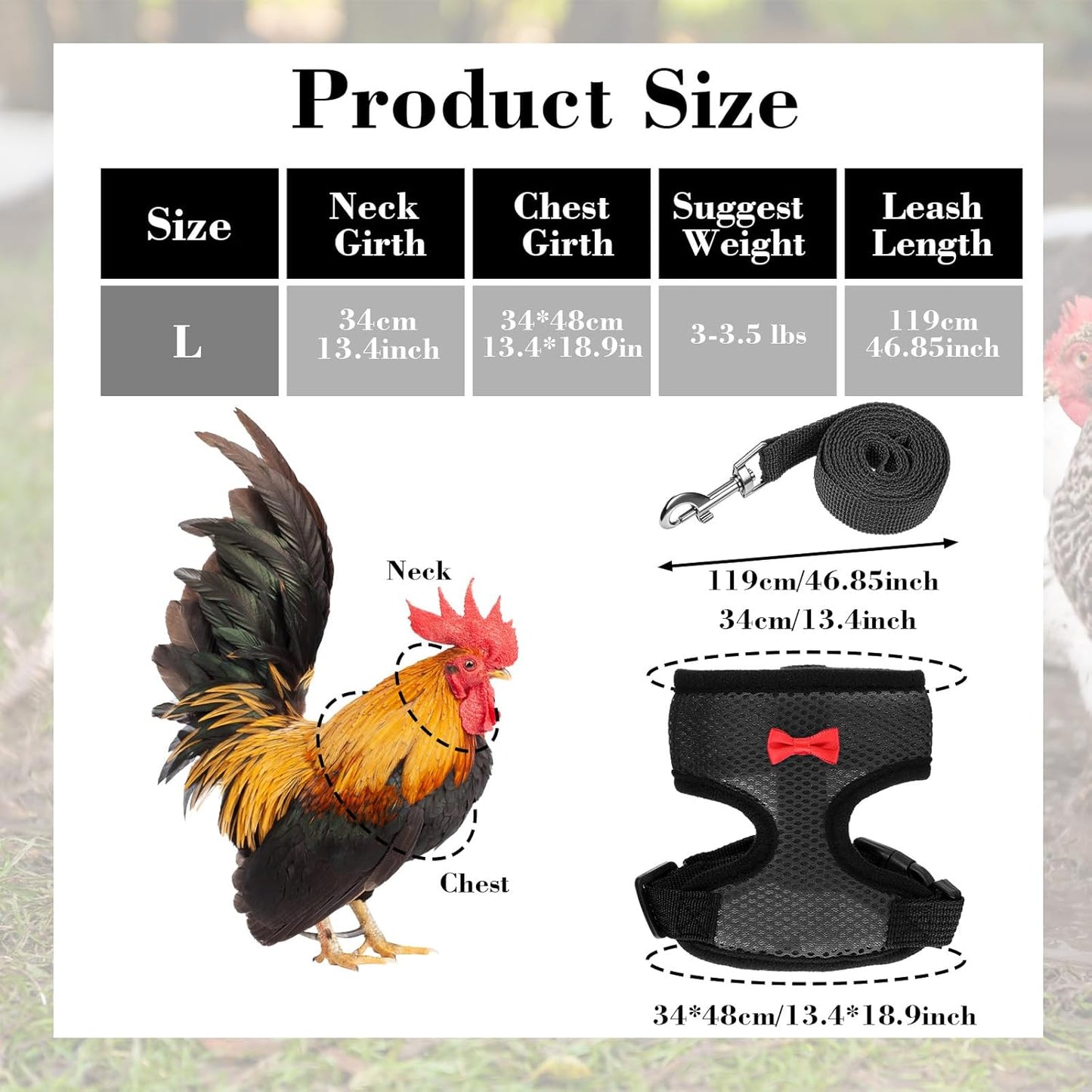 Chicken Harness with Leash Set, Upgraded Double Adjustable Mesh Breathable Chicken Training Harness, Pets Leash for 3-4 Lb Hens Duck Goose Small Pets Training Walking Supplies (Black)