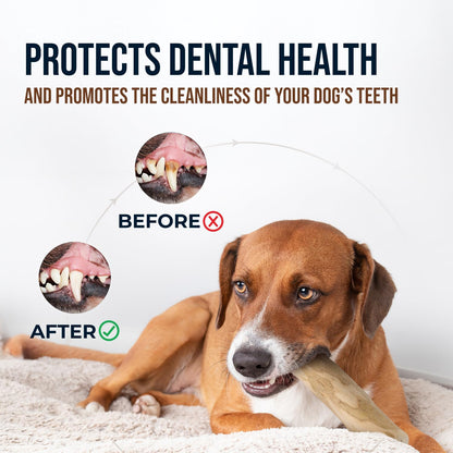 3Pcs Natural Coffee Wood Dog Chew and Hemp Ball Toys for Large & XL Dog Over 70lbs - 100% Organic Toys for Teeth Cleaning, Reduces Stress, Mental Stimulation