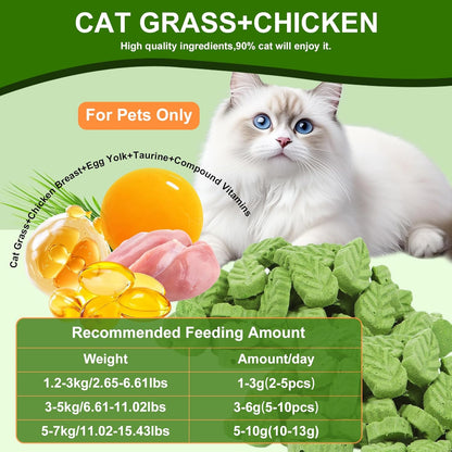 80g Cat Grass Treats for Indoor Cats, Freezed Drying Cat Grass Teething Stick for Hairball Remove Treatment Teeth Cleaning and Dental Care, Edible Kitty Chew Toy Snack
