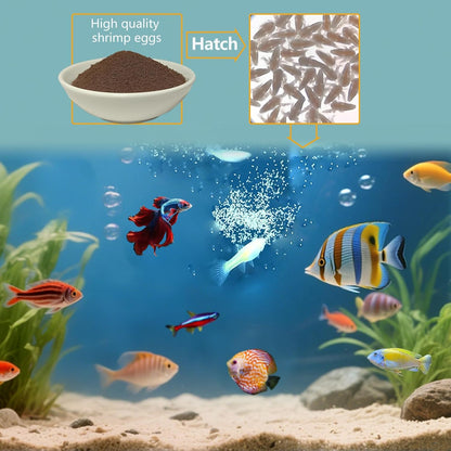 Brine Shrimp Eggs Fish Food - 90% Hatch Rate Artemia Cysts Aquatic Foods for Baby Aquarium Fish Freshwater Saltwater Fish 1 OZ