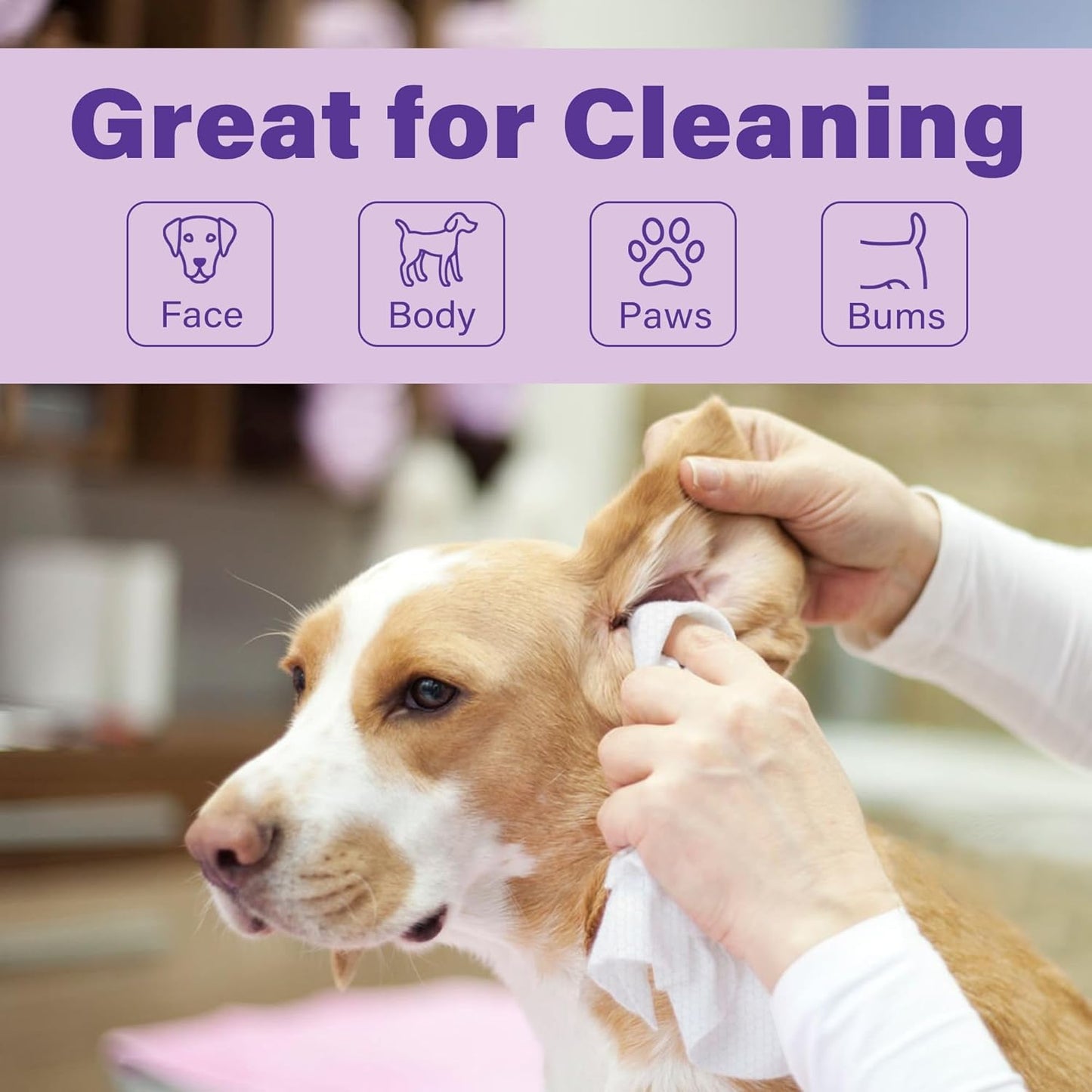 Prime Pets 400pcs Dog Wipes for Paws and Butt, Large Pet Wipes for Dogs, Dog Wipes Cleaning Deodorizing, Hypoallergenic, Puppy Wipes for Grooming Face Fur Body, Lavender Scented