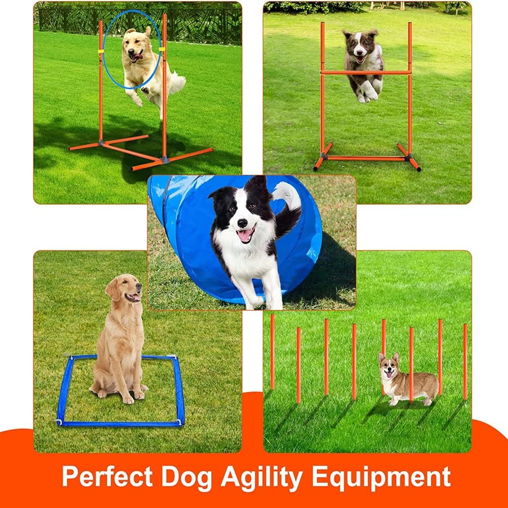 Agility Training Set for Dogs - Affordable Training Kit Dog Jump Training Obstacle Course Starter Kit Pet Outdoor Games with Tunnel, Dog Flying Disc, Weave Poles, Jump Ring, Carrying Bag