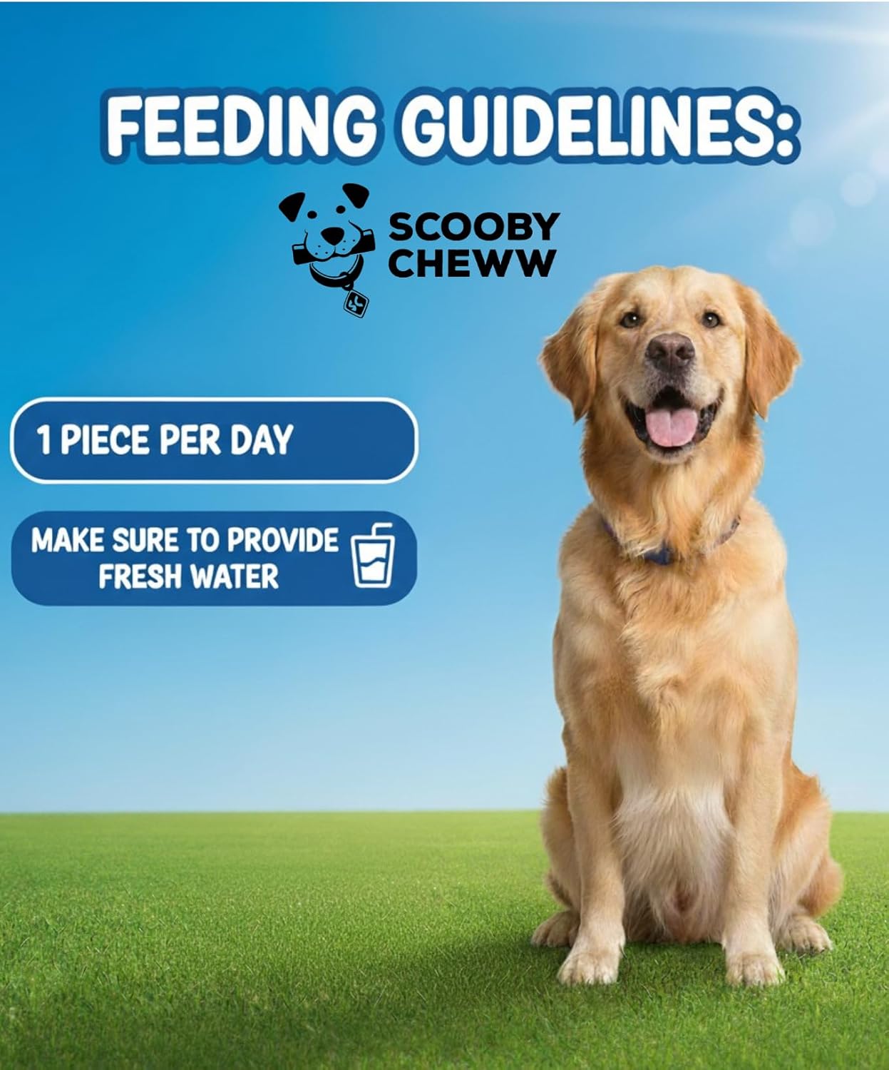 100% Natural Pet Treats 12 Pack Grass Fed Water Buffalo Ears for Dog Unbleached High Protein Beef Cow Ears for Dogs Safe Rawhide Dog Treat Suitable for Small, Medium & Large Breeds Dogs Chews