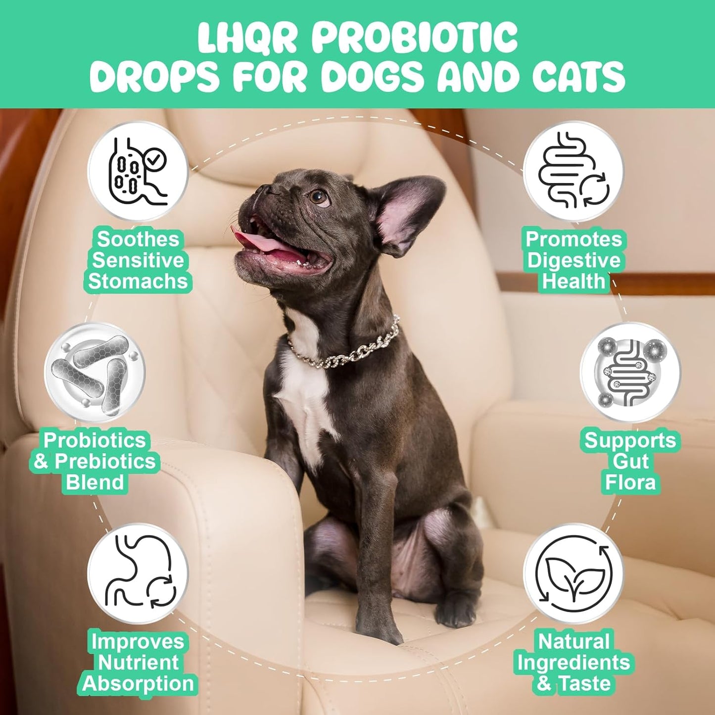 Liquid Probiotics for Dogs & Cats with Prebiotics & Digestive Enzymes - 3-in-1 Formula for Gut Health & Nutrient Absorption - 1.2 Billion CFU - 2 FL Oz