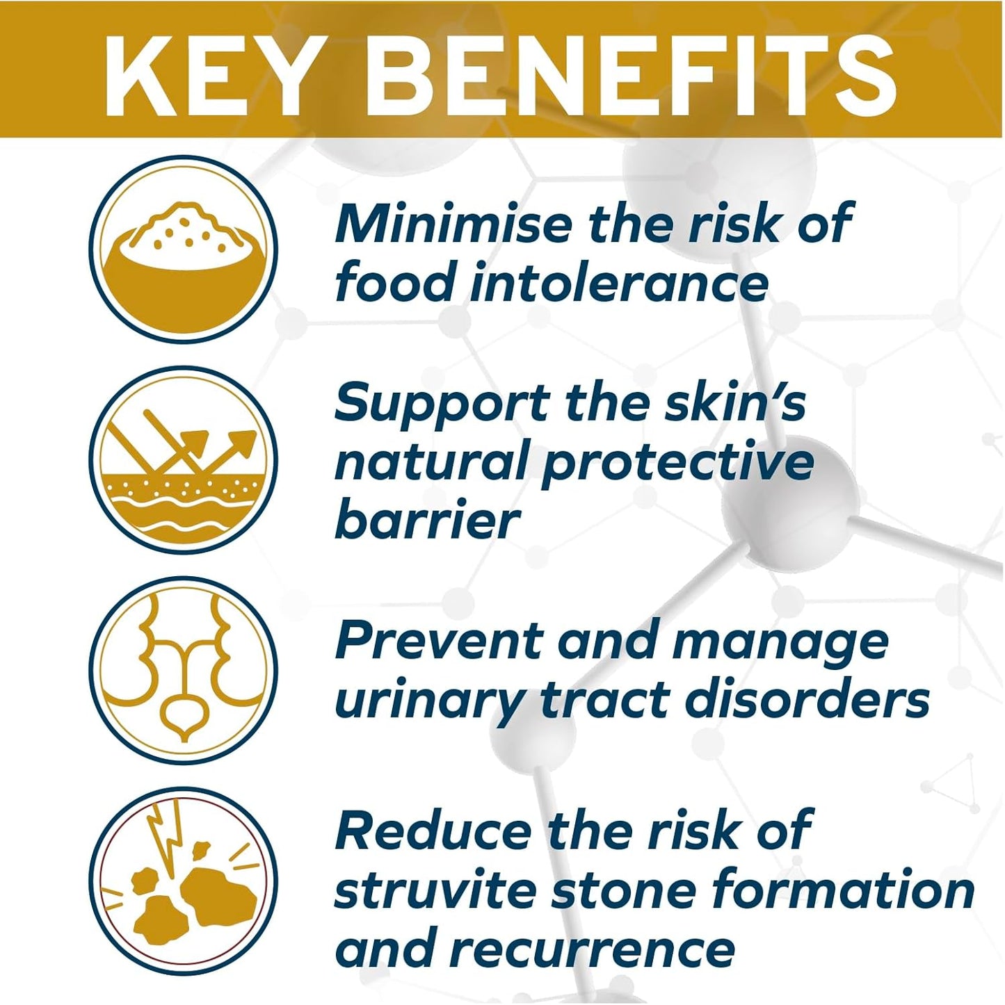 Forza10 - Cat Food, Urinary Tract Wet Cat Food, Non GMO, Vet-Approved UTI Support with Salmon Flavor, Made in Italy (3.5 oz, 32 Pack)