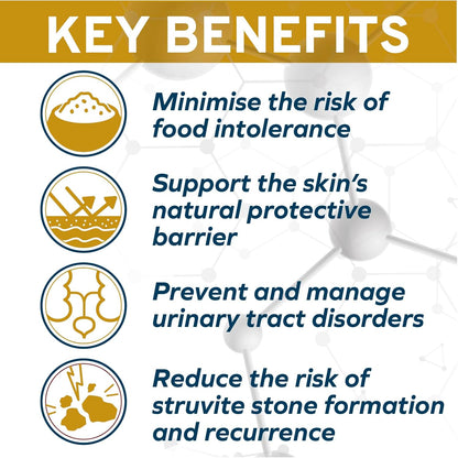 Forza10 - Cat Food, Urinary Tract Wet Cat Food, Non GMO, Vet-Approved UTI Support with Salmon Flavor, Made in Italy (3.5 oz, 32 Pack)