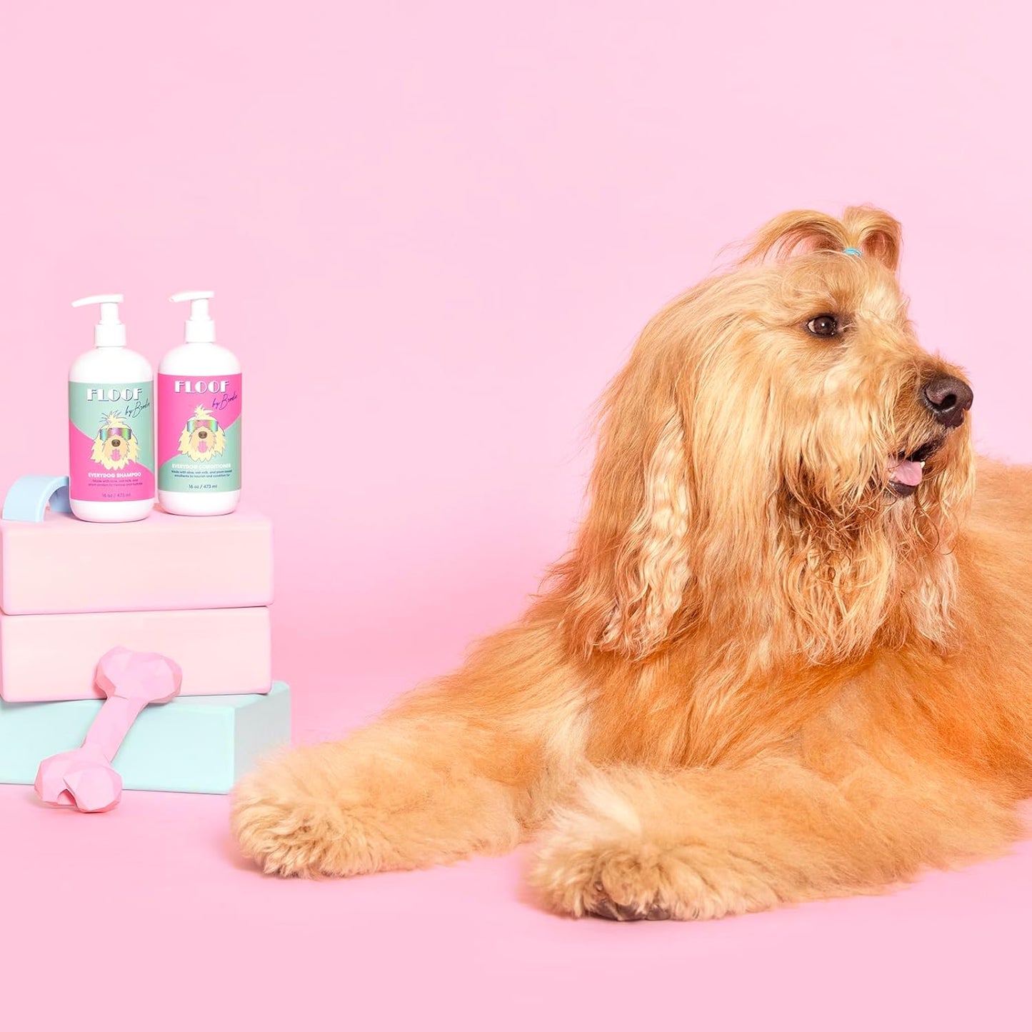 Floof by Brodie Everydog Nourishing Dog and Cat Conditioner for All Coat Types, Moisturizing and Detangling with Aloe, Oat Milk, Plant Based Emolients for Shiny Soft Smooth Coat (16 oz)