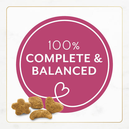 Fancy Feast Purina Filet Mignon Flavor with Real Seafood & Shrimp Dry Cat Food (7 Ounce (Pack of 1))