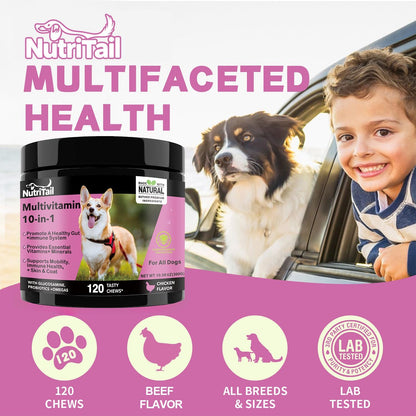 NutriTrail Multivitamin for Dogs – 10-in-1 Soft Chews with Glucosamine, Probiotics, Omega-3, Vitamins & Minerals – Supports Hip & Joint, Digestion, Skin & Coat, and Immune Health – Chicken, 120 Ct