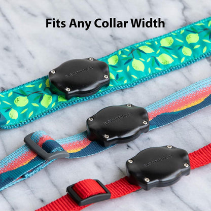 Elevation Lab TagVault AirTag Dog Collar Mount (Single) - IP69 Waterproof, Doesn't Dangle, Fits All Width Collars, Glow in The Dark
