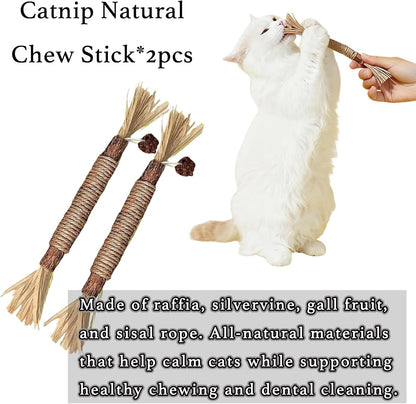 10-Pack Cat Toy Variety Set – Catnip Sticks, Carrot Chew Toys, Feather Balls, Yarn Bell Balls & Treat Spoon for Indoor Cats and Kittens