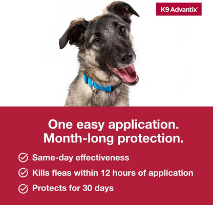 K9 Advantix Flea, Tick & Mosquito Prevention for Dogs 21-55 lbs. | Flea Drops for Large Dogs | Apply Monthly | 4 Treatments (Pack of 2)