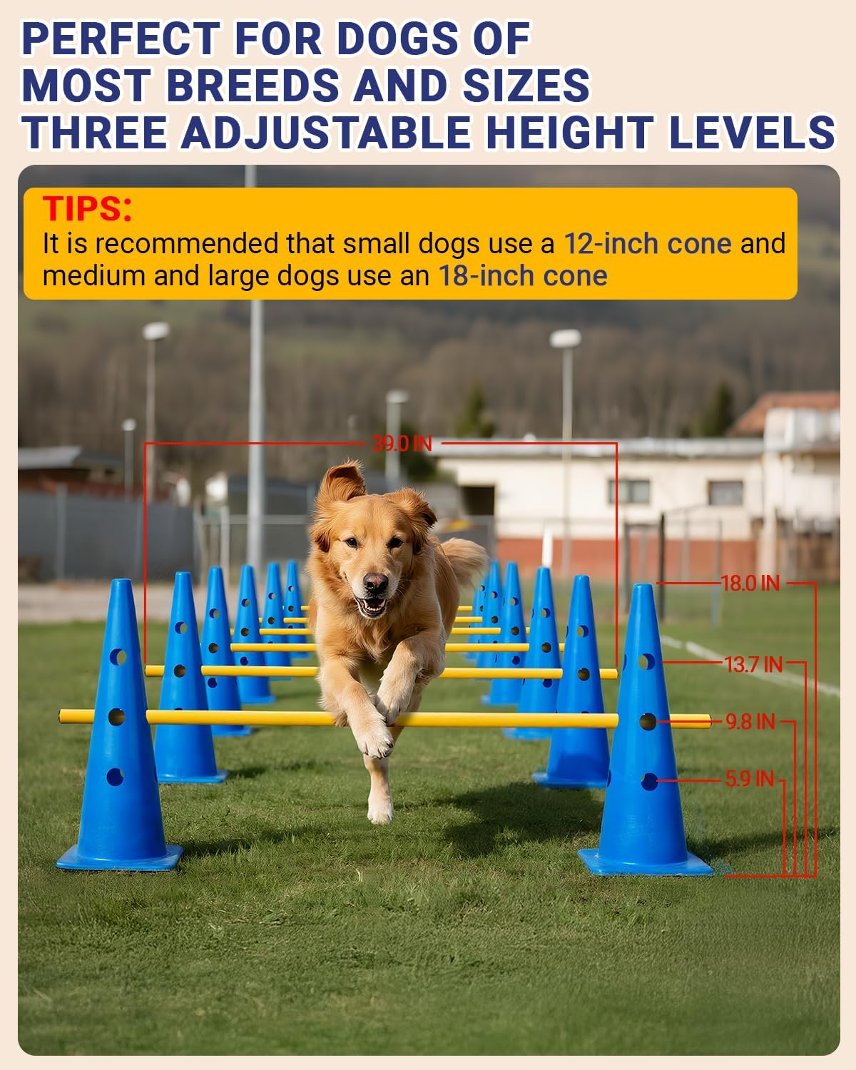 Dog Agility Course Backyard Set, Dog Agility Hurdle Cone Set with Height Adjustable Crossbar for Rehabilitation & Beginners, Dog Agility Equipment for Dog Obstacle Course - 18 Inch
