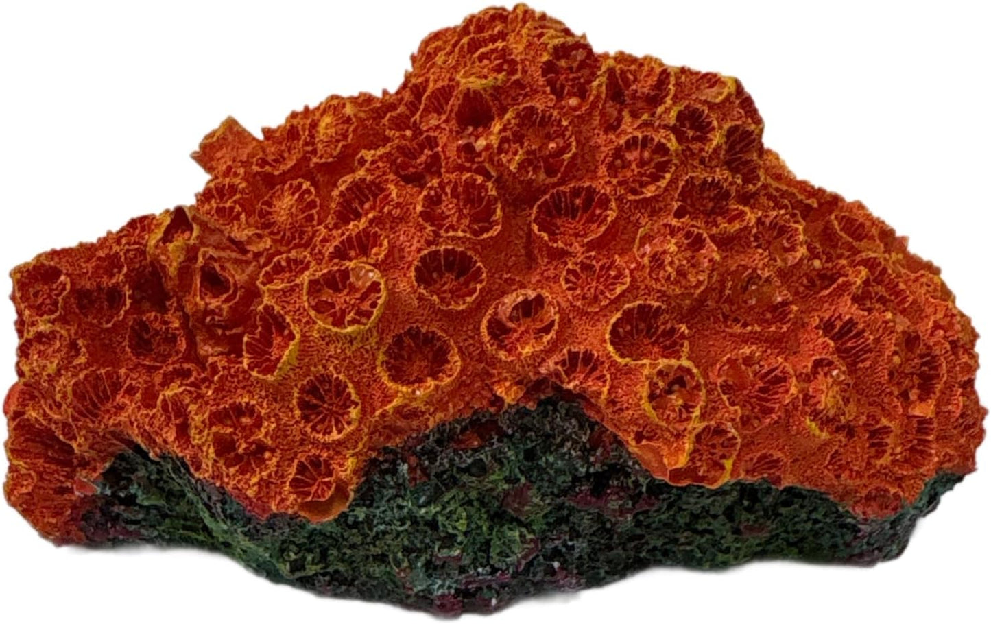 Aquarium Coral Ornament Decor Fish Hide for Fresh or Saltwater Aquariums - Replica Sun Coral (4.75" x 3" x 2.5")