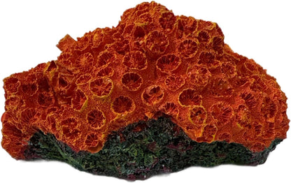 Aquarium Coral Ornament Decor Fish Hide for Fresh or Saltwater Aquariums - Replica Sun Coral (4.75" x 3" x 2.5")