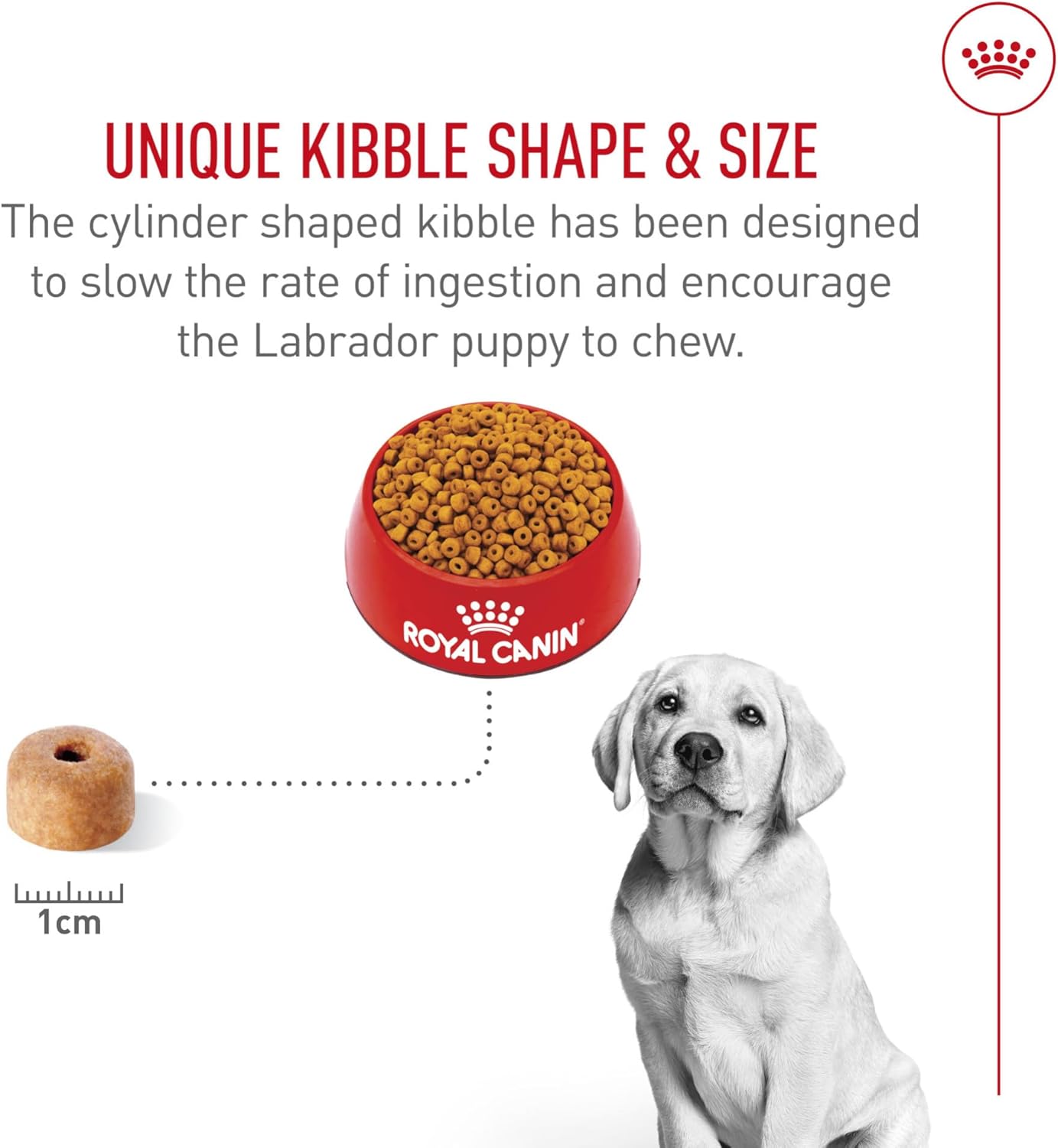 Royal Canin Breed Health Nutrition Labrador Retriever Puppy Dry Dog Food, 2.5 lb Bag