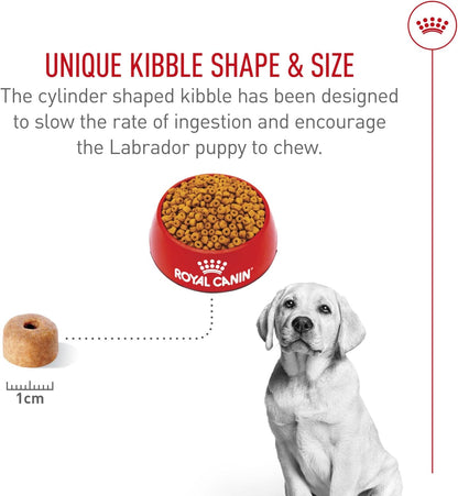 Royal Canin Breed Health Nutrition Labrador Retriever Puppy Dry Dog Food, 2.5 lb Bag