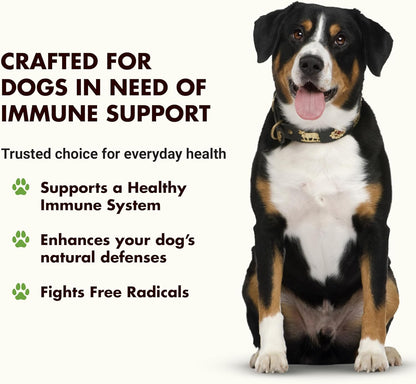 Liquid-Vet Immune Support for Dogs – Antioxidant Protection & Gut Health – Inulin, Beta-Glucan & Omega-3s / Fish Oil & More! - Made for Picky Eaters