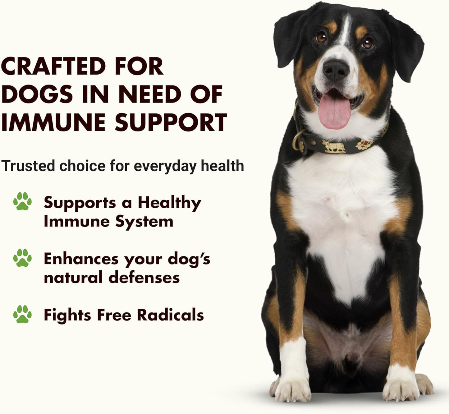 Liquid-Vet Immune Support for Dogs – Antioxidant Protection & Gut Health – Inulin, Beta-Glucan & Omega-3s / Fish Oil & More! - Made for Picky Eaters