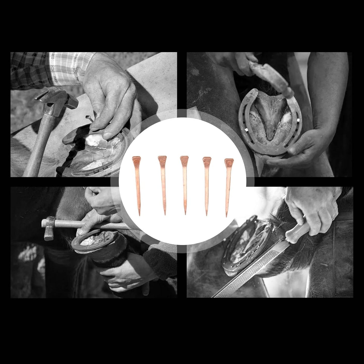 Horseshoe Nails, 250Pcs Copper Plated Rustproof Horse Training Equestrian Sports Riding Equipment Pet Supplies for Securing Firmly (47.5mm E4)