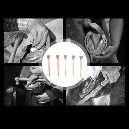 Horseshoe Nails, 250Pcs Copper Plated Rustproof Horse Training Equestrian Sports Riding Equipment Pet Supplies for Securing Firmly (47.5mm E4)